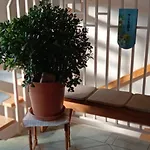 Holiday home Toepferblick-hartau Hartau