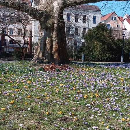 Toepferblick-hartau Hartau