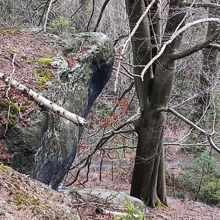 Töpferblick-hartau Ferienhaus