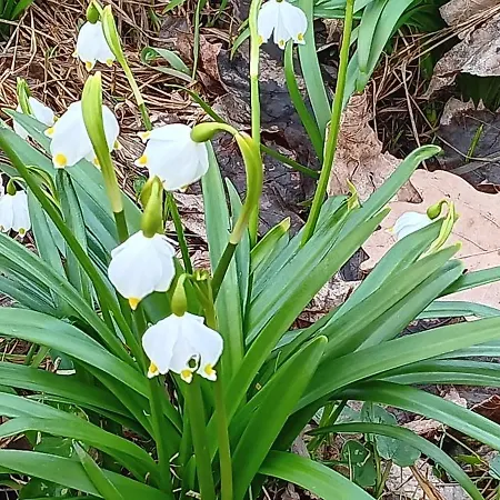 Toepferblick-hartau Vakantiehuis Hartau