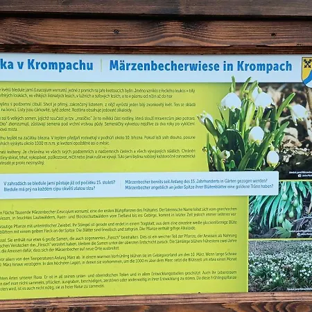 Toepferblick-hartau Holiday home *