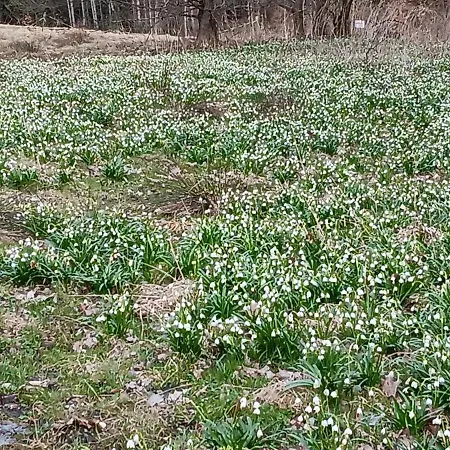 Vakantiehuis Toepferblick-hartau *
