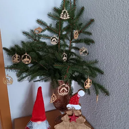 Vakantiehuis Toepferblick-hartau *