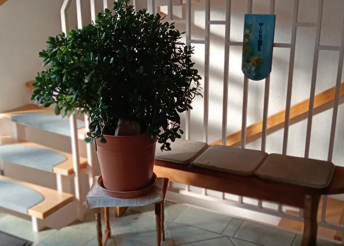 Holiday home Toepferblick-hartau Hartau