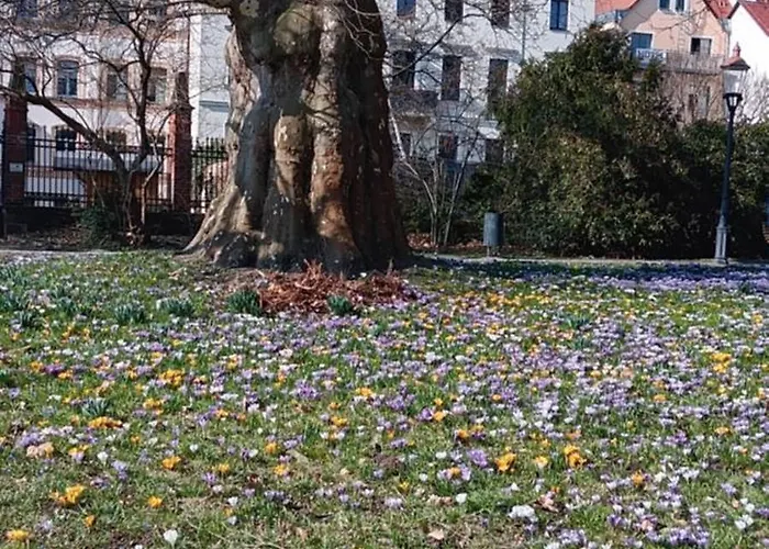 Toepferblick-hartau Hartau