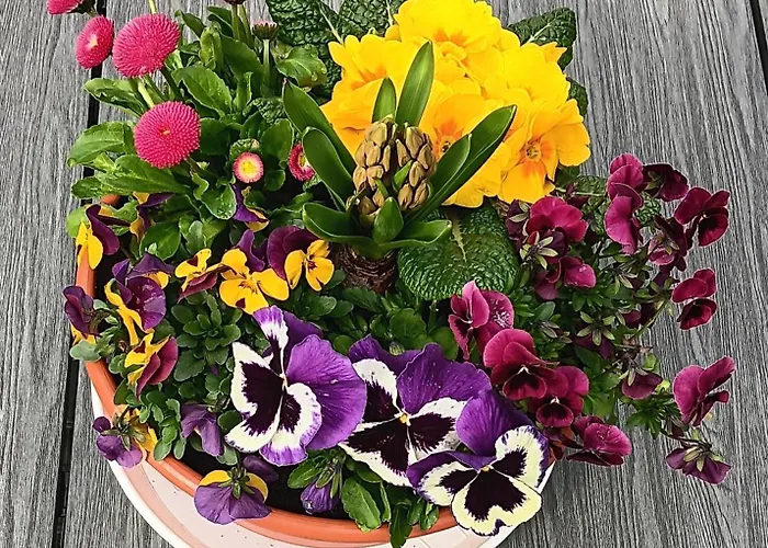 Toepferblick-hartau * Hartau