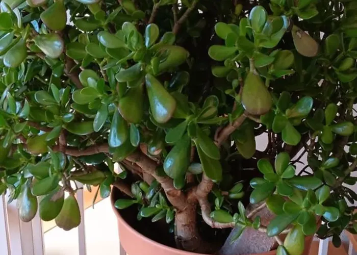 Holiday home Toepferblick-hartau