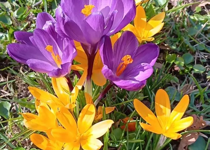 Holiday home Toepferblick-hartau *