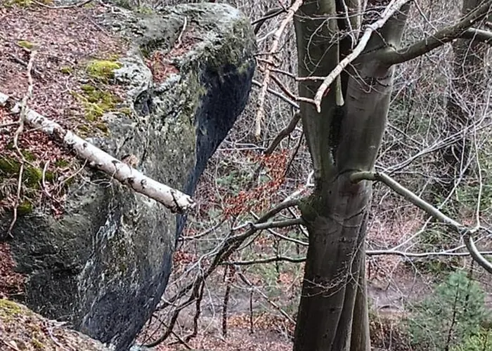 Toepferblick-hartau Holiday home