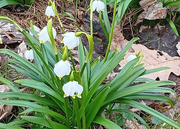 Toepferblick-hartau Holiday home Hartau